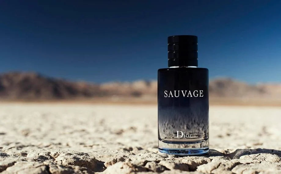 Best Perfumes and Colognes for Men – Perfume Dubai